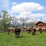 Отель Penzinghof 4*