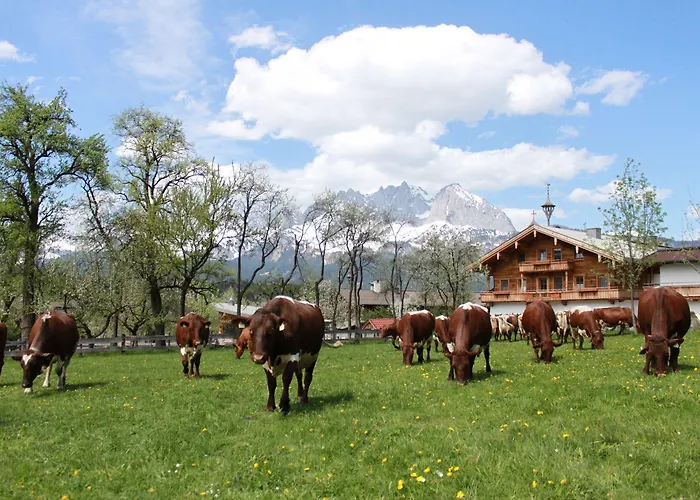 酒店 彭泽霍夫酒店 4*
